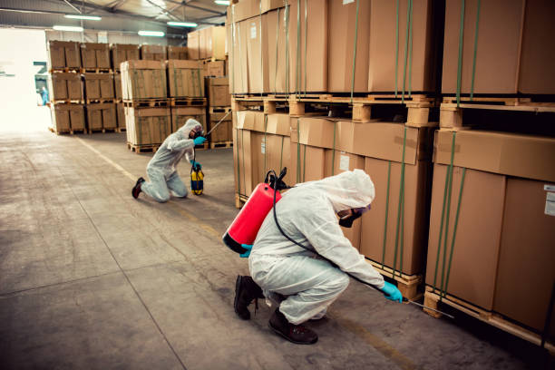 Flea Control Services in Quinlan, TX