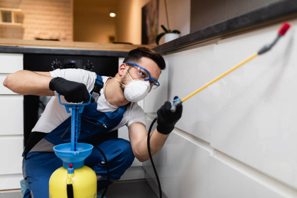 Best Rat Extermination Near Me  in Quinlan, TX