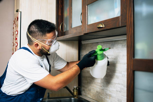 Best Best Pest Control Near Me  in Quinlan, TX