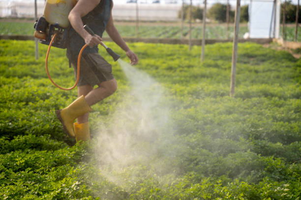 Best Pest Control Near Me in Quinlan, TX