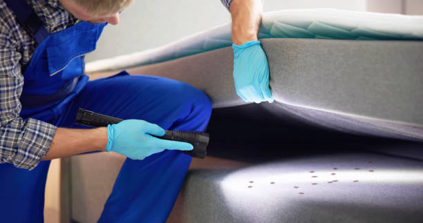 Best Termite Control Services  in Quinlan, TX