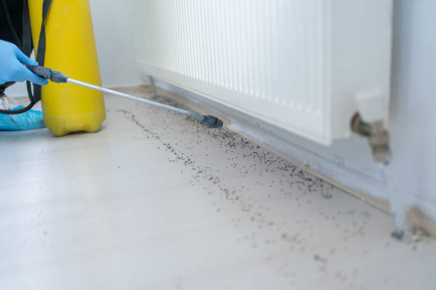 Best Pest Prevention Services  in Quinlan, TX