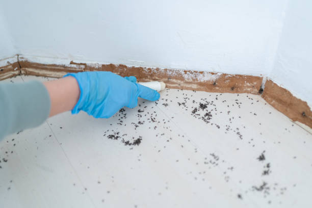 Wildlife Control Services in Quinlan, TX
